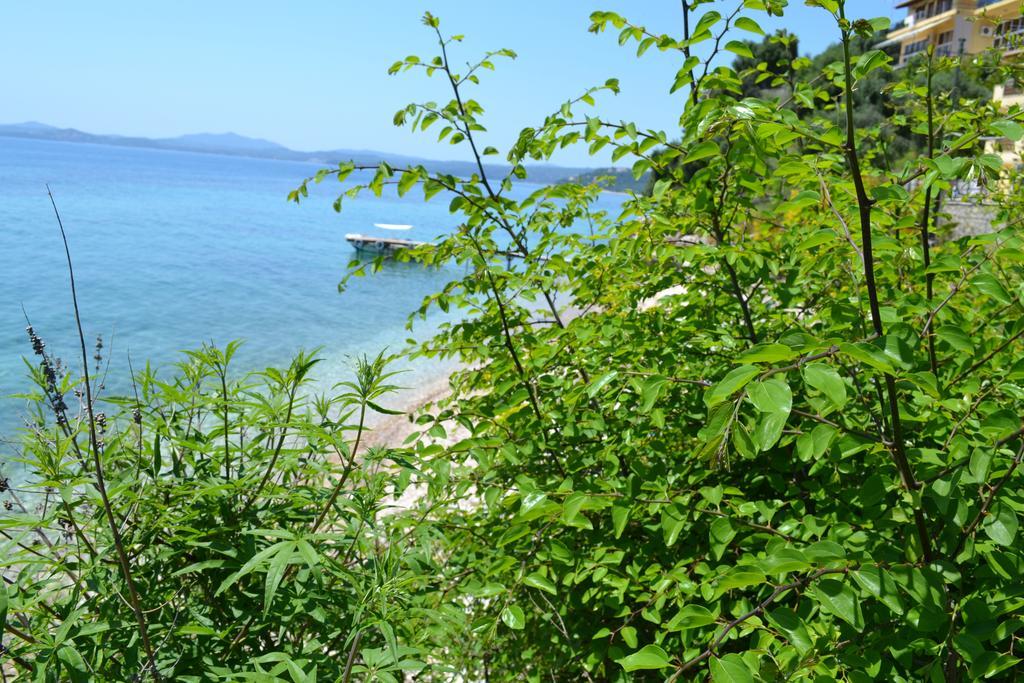 Glyfa Corfu Apartments Барбаті Екстер'єр фото